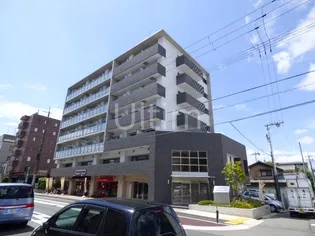 メゾン・ヴィーナス【7階】の外観