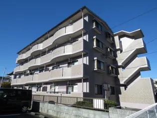 リュミエールの画像