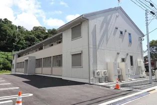 フローレスの画像