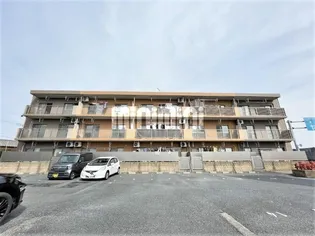 チェレステSUZUKAの画像