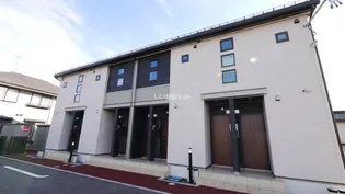 シュガー レイの画像