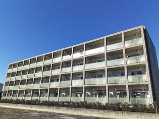 ウィステリアの画像