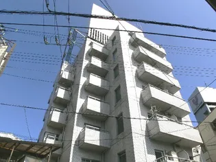 WHO'S WHO AP さぎすの画像