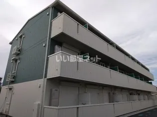 アイリスの画像