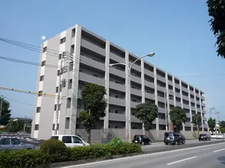 プラスペリティの画像