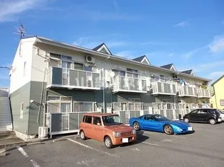 サザンウインドの画像