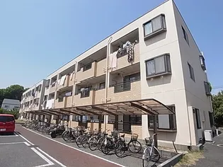 ラフィーヌ フォレの画像