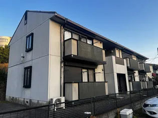 ボヌールタカイの画像