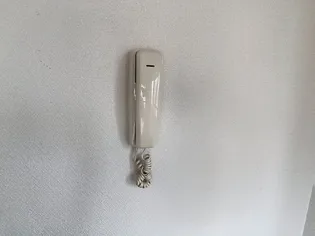 岩崎ハイツII【2階】の内装