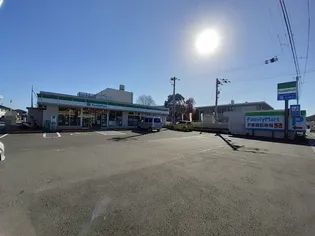 岩崎ハイツII【2階】の周辺