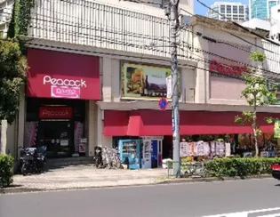 ライオンズシティ白金高輪【11階】の周辺