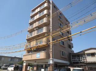 サーティラブの画像