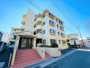 シャルマン2の画像