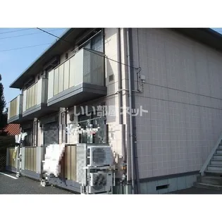 ローズマリーの画像