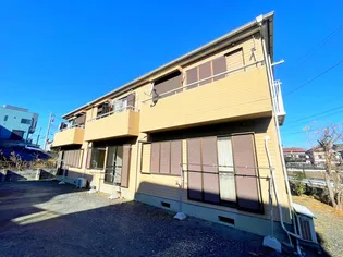 ノウゼンカヅラの画像