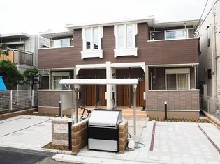 ルピナスの画像