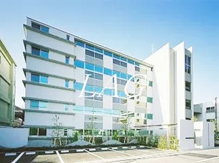 ラフィーネ エスの画像