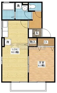 コンフォールウィルモア【1階】の間取り