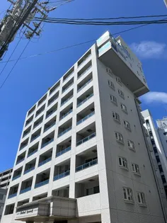 SHETLAND KUSUNOKIの画像