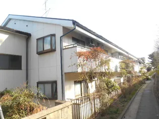 EVER GREEN HAMAの画像
