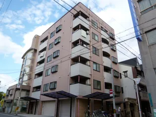 エトルアンボーテ平野の画像