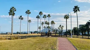 ハイム照波園【2階】の周辺