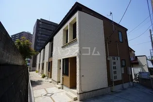 ルピナス VIIIの画像