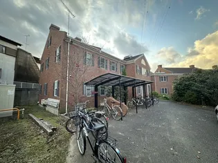 カメリエの画像