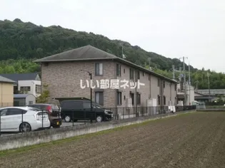 グリーンコートの画像