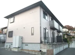 PINE HILLの画像