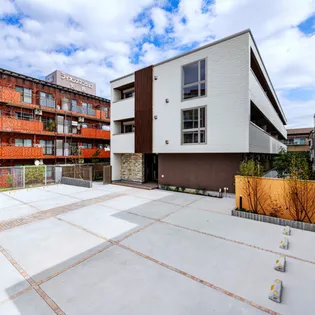 テフィールの画像