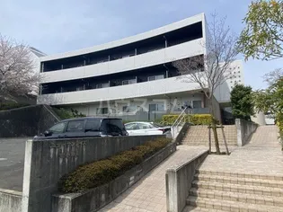 ニューサンライズ南春日丘【3階】の外観