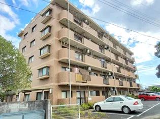 コットンアヴェニュー【4階】の外観