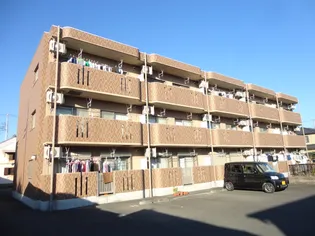 オリーブコートの画像