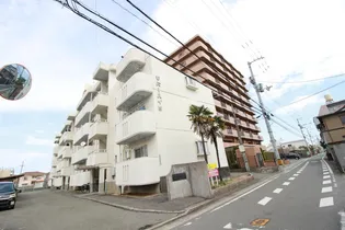 徳島県徳島市佐古八番町【マンション】の外観