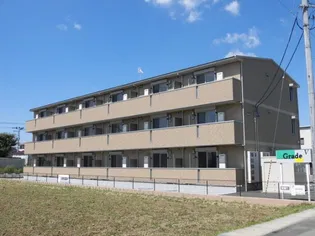 グレードVの画像