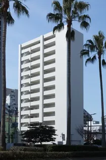 サヴォイザ フォースフォーの画像