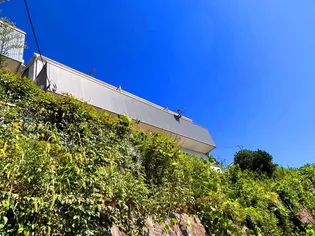 レグルス西谷の画像