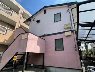 メイプルの画像