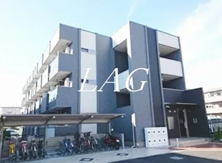 プラシードの画像