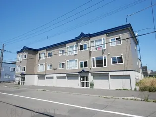 ルピナス22の画像