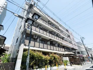 エヴァーグリーン ラピスの画像