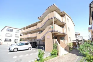 サンフラワーの画像