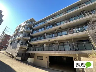 ピアチェーレ宮前平の画像