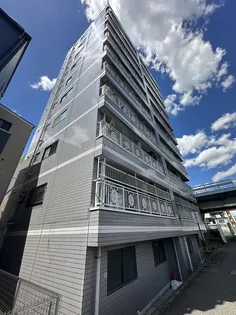 ストークインラピタの画像