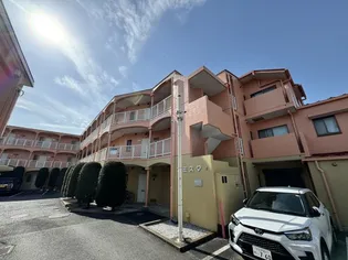 アミスタの画像