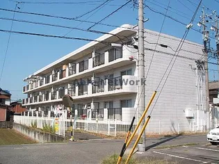 岐阜県岐阜市鷺山東1【マンション】の外観
