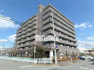 サングリートハイツ【8階】の外観