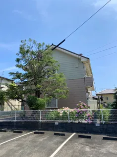 ルピナス【1階】の外観