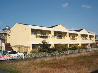 岐阜県岐阜市薮田南5【アパート】の外観